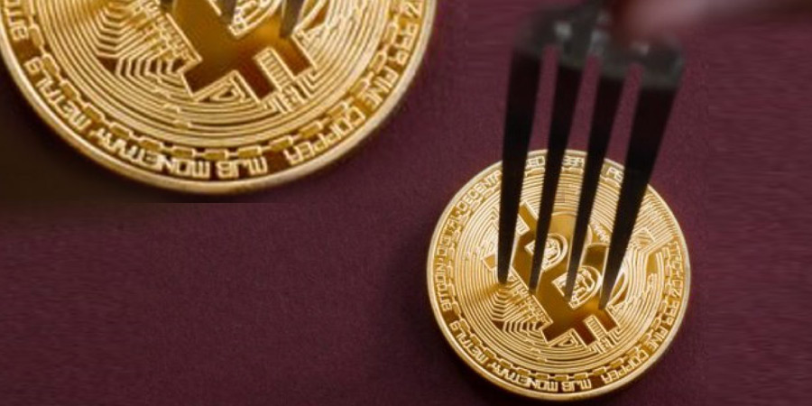 فورک (fork)