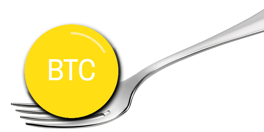 فورک (fork)