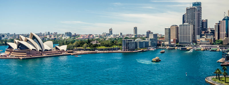 کار در نیوزیلند