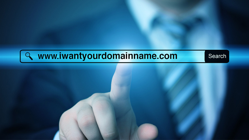 هاست و دامنه
